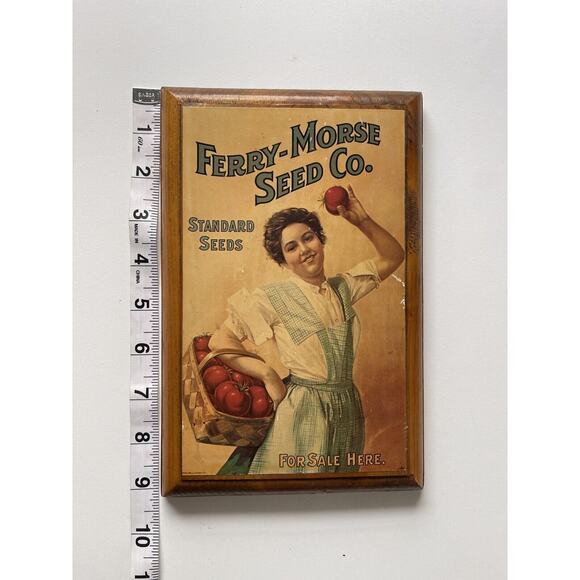 FERRY-MORSE SEED CO ADVERTISING Standard Seeds For Sale Here Wooden Plaque Sign - Picture 3 of 4